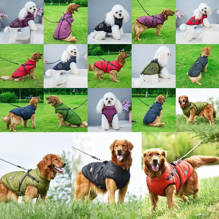 CozyTail® - Veste imperméable pour chien